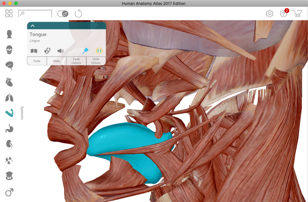 Tackle the Technique Tongue Tension