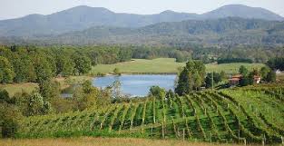 Afton Mountain Vineyards