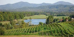 Afton Mountain Vineyards