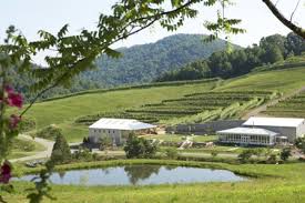 Delfosse Vineyards and Winery