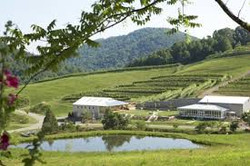 Delfosse Vineyards and Winery