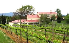 White Hall Vineyards