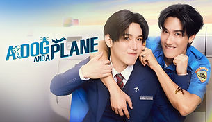 A dog and a plane sito.jpg