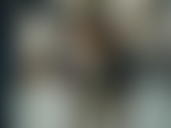 Effective Dog Board and Train Programs