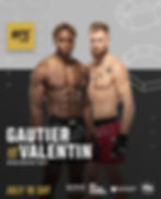 UFC 318