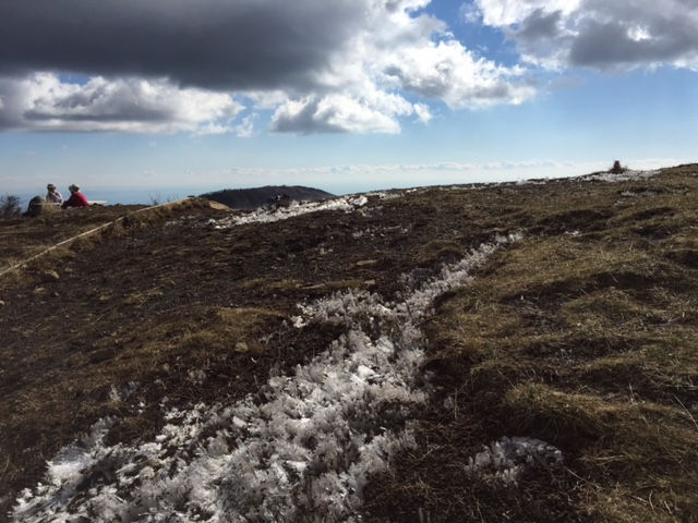 image6.jpeg