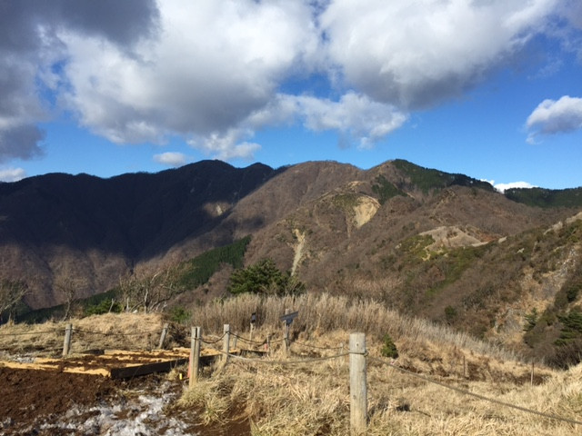 image5.jpeg