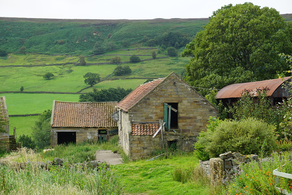 Listed barns in the North York Moors National Park with lime mortar and pantile roof