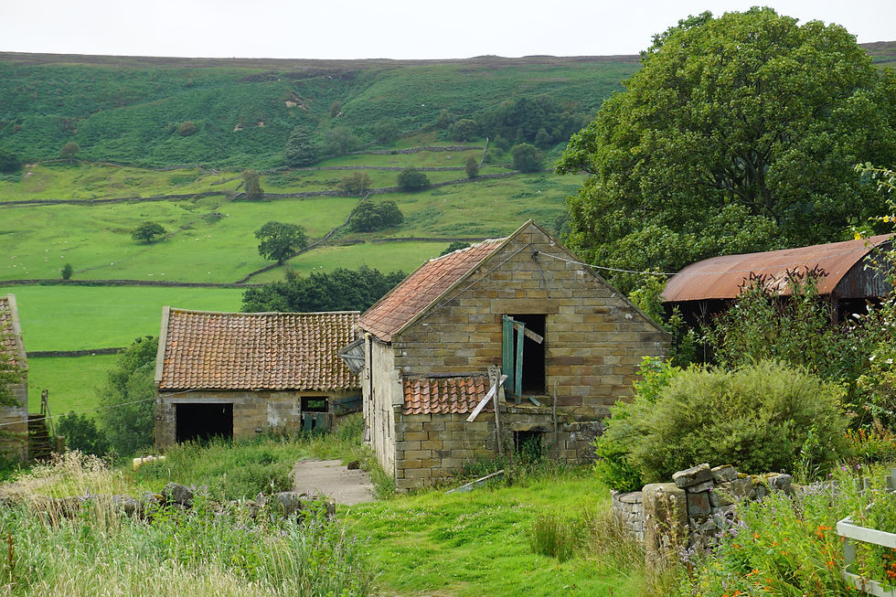 Listed barns in the North York Moors National Park with lime mortar and pantile roof