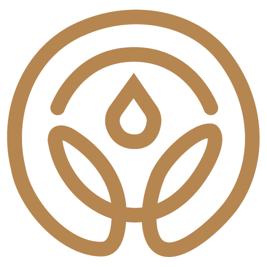 MindBody - System Healing - logo
