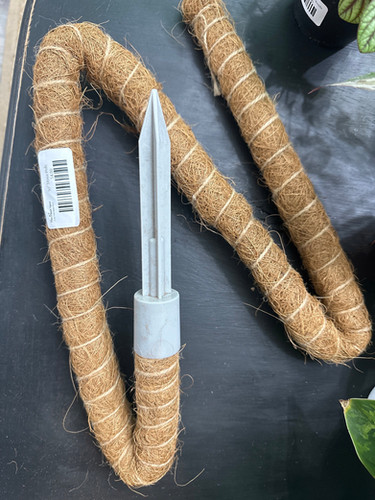 【新品未使用】MOSS STICK SW50 24-25 新品未使用】MOSS STICK SW50 24-25 Amazon.com : 3 Pack Moss Pole