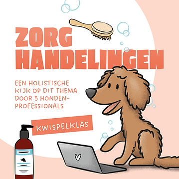 zorghandelingen-hond.png