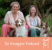 Thumbnail_PodcastKnappie.png