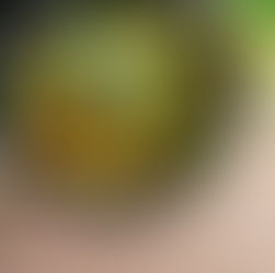 Hot Honey Chicken Skillet with Roasted Corn, Scallions, and Avocado