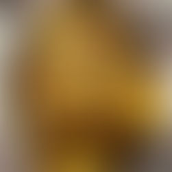 lemon dusted Chicken Cutlets with Pan-Roasted Garlic