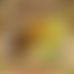 Blackened Shrimp Bowl with Lemon Dust Dry Rub, Jasmine Rice, and Fresh Corn Salsa