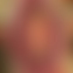 Everything + The Spice Tuna