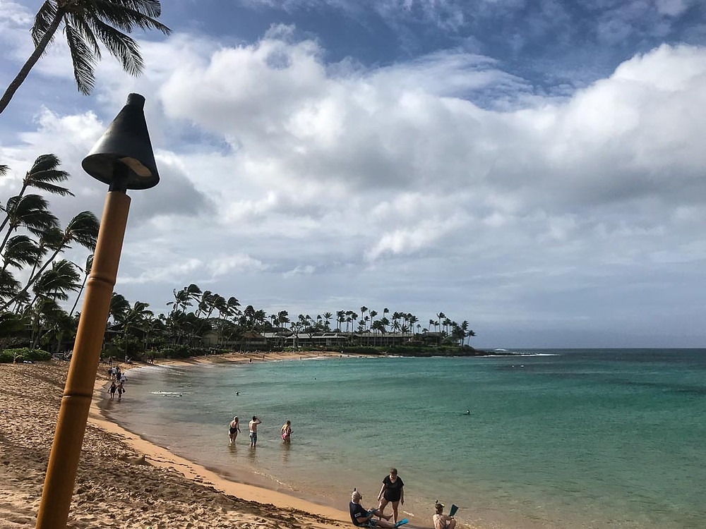 Half moon bay with palm trees and turquoise water