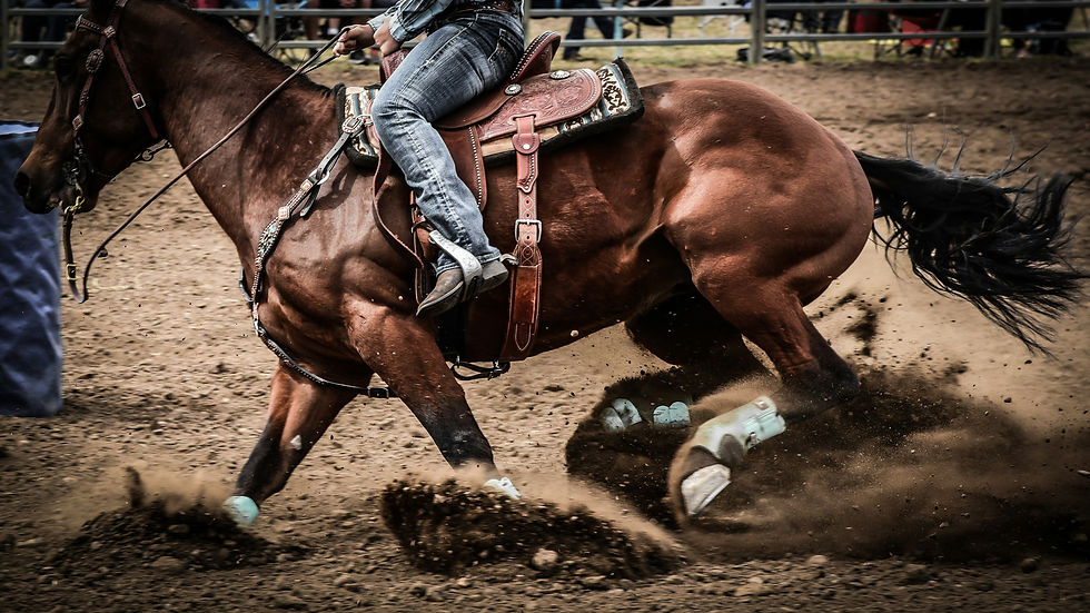 Pro Rodeo at Howelen Hill in Steamboat Springs for your family summer vacation
