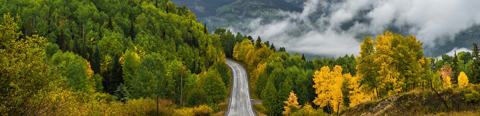 Scenic mountain road through golden aspen trees on a fall day in Telluride Colorado