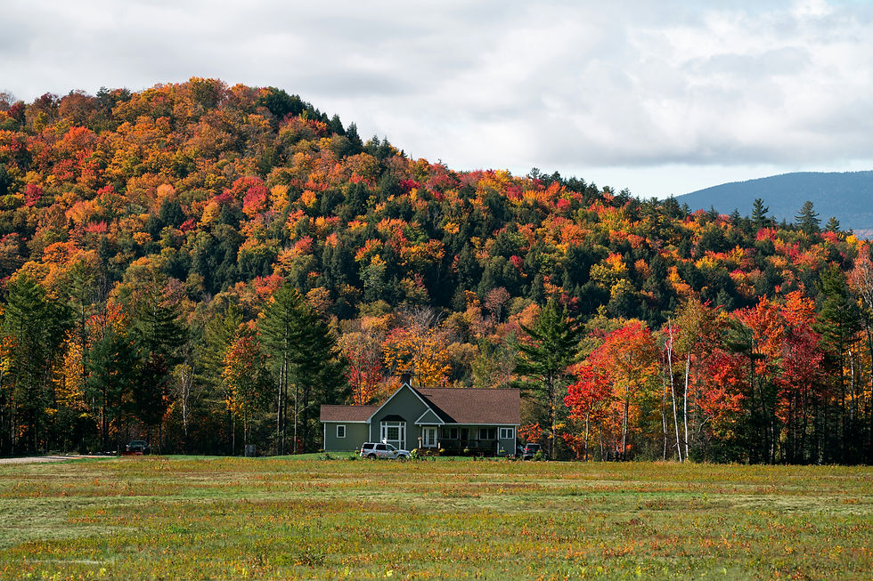 “Autumn foliage in the Green Mountains near Woodstock Vermont with scenic New England countryside.”
