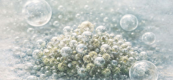 ChatGPT Image Feb 11, 2026 at 04_50_39 PM_edited.jpg