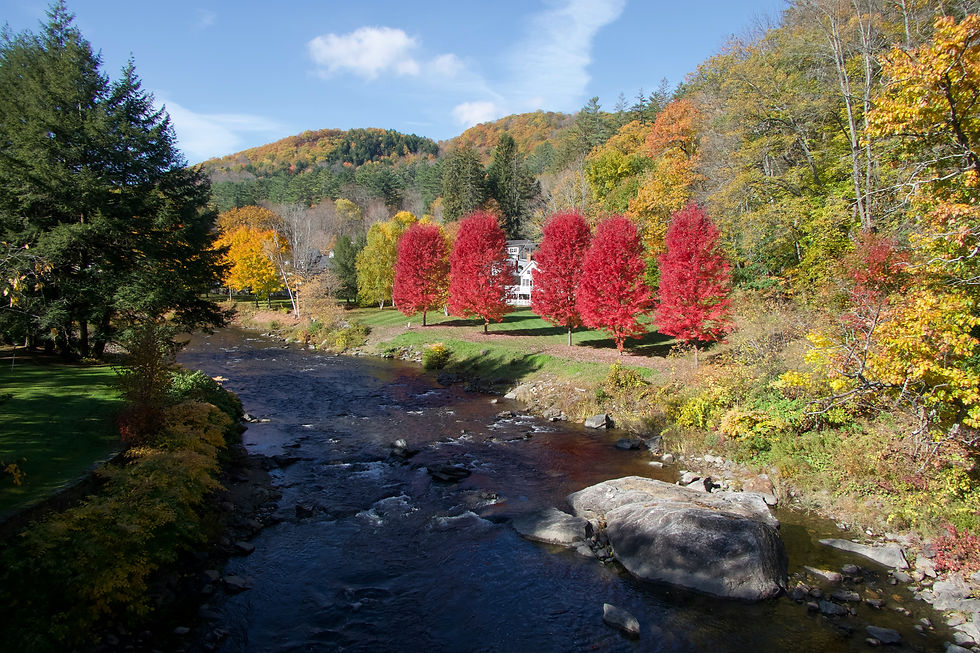 A beautiful creek in Vermont