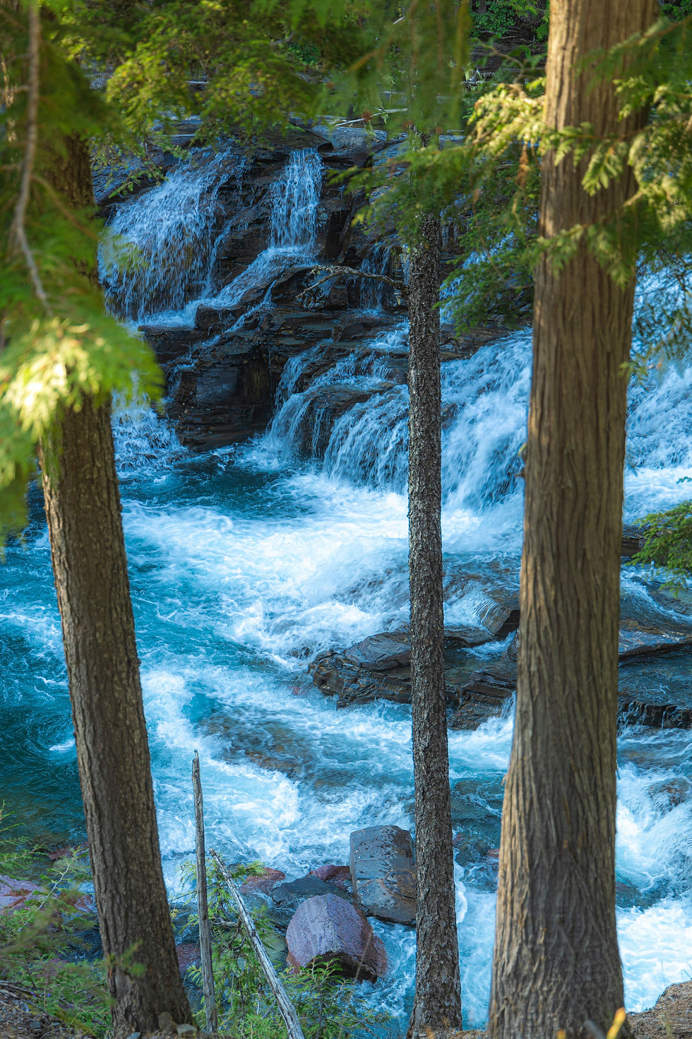 Glacier National Park Montana waterfall hike with forest views, things to do with kids in Montana