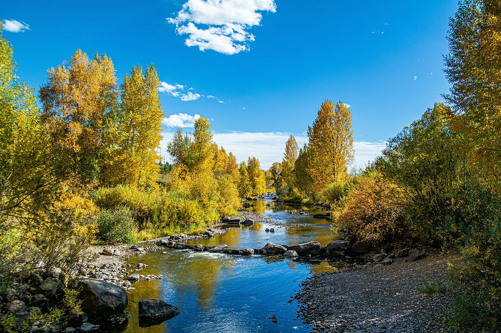 A beautiful river in Steamboat Springs in the Summer for your luxury family summer vacation
