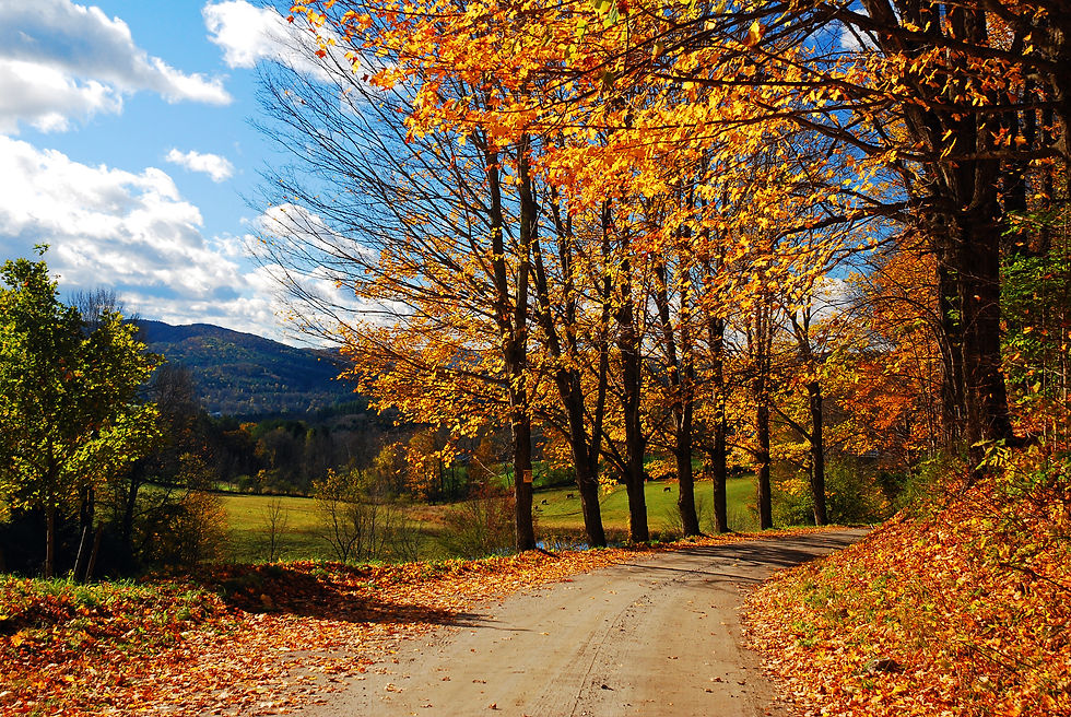“Autumn country road near Woodstock Vermont surrounded by vibrant fall foliage and Green Mountain views.”