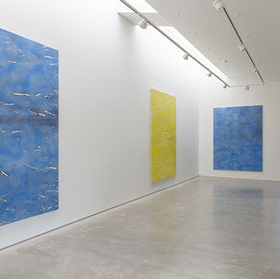 display wall with diffused natural lighting and option for adjustable track lighting