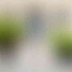 bridal photograph in Notting Hill London