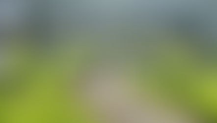 Sat Clean Up 5th Sept '20