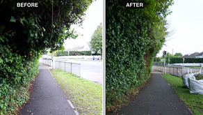 Wednesday - Path cleared