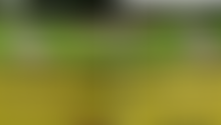 Weekly Saturday Cleanup 11/7/20