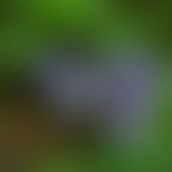 First Weekly Wednesday Tidy Up