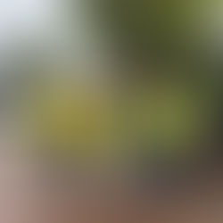 Saturday Clean Up 30th August'25