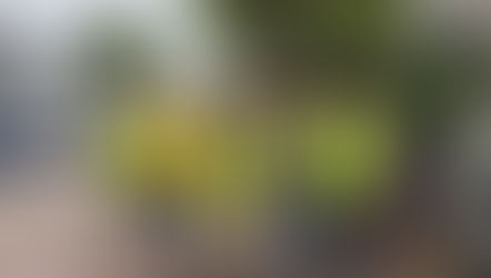 Saturday Clean Up 30th August'25