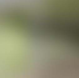 N4/M50 Tunnel Transformation '22