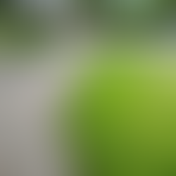 Sat Clean Up 21st May '22