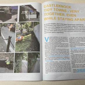 Little Village article - Apr/May '21 issue
