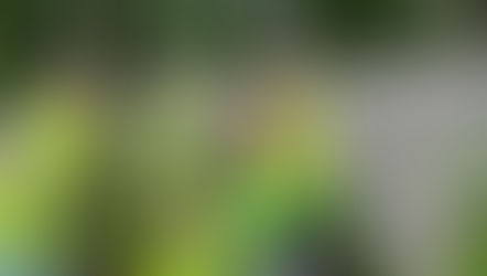 Weekly Sat Clean Up - 17th Aug '24