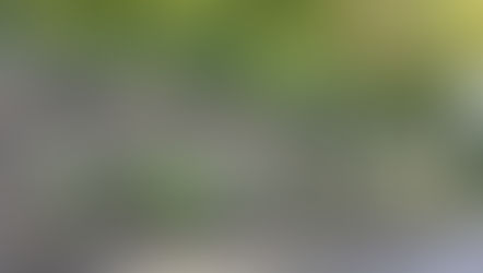 White's Road gets some love