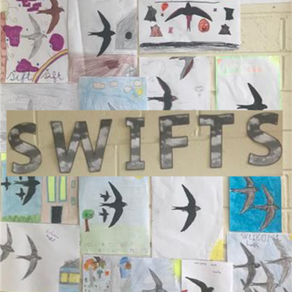 Swiftly coming your way!