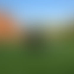 Fairhaven Cedar Planting