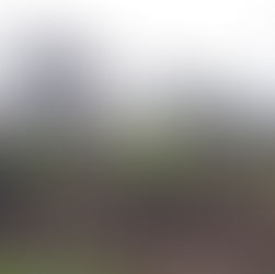 TY Students from St Vincent’s Castleknock College Complete Community Care Week with CTT