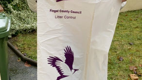 Transition to a cleaner Castleknock