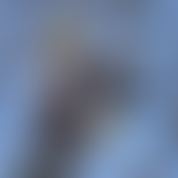 Tree pruning - Auburn Drive