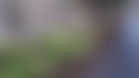 Wednesday evening's Tidy Up a washout?