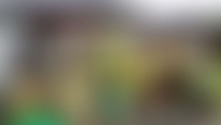 Weekly Clean Up - Sat 24 Jul '21